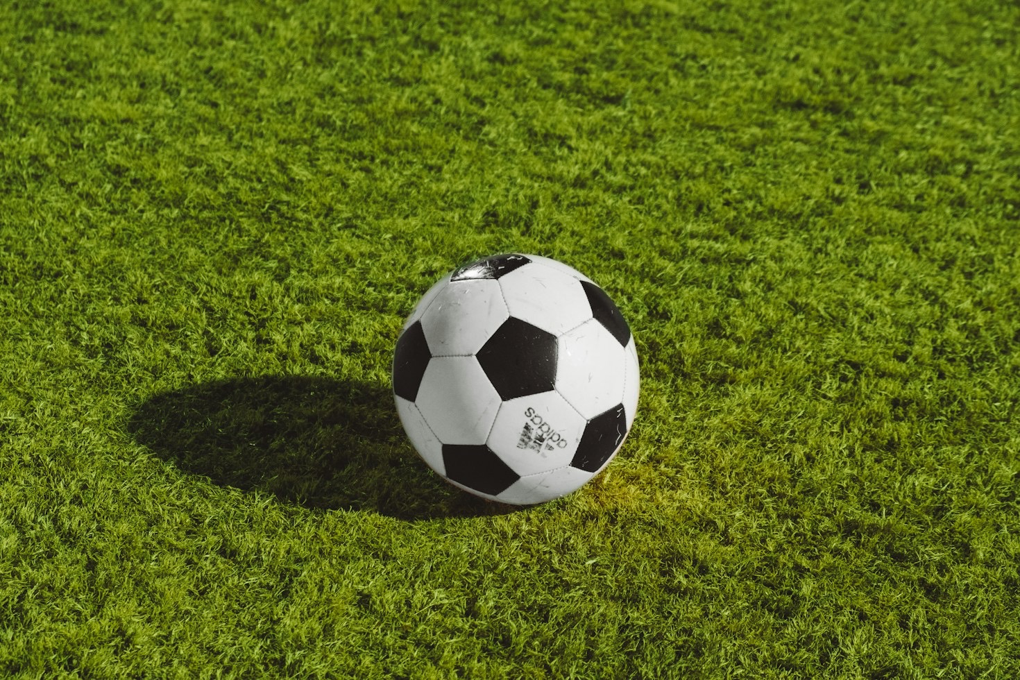Guida pratica per sostenere i giovani atleti dagli spalti